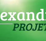 cabecalho-blog-alexandra