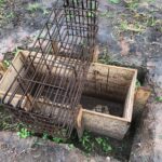 WhatsApp Image 2019-10-22 at 13.45.27