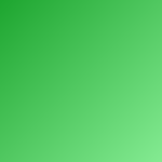 Vinheta 2025 Alexandra Moreira (Vídeo)