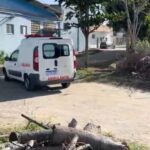 WhatsApp Image 2025-09-29 at 15.25.55